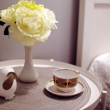 Dream Near The Old Tower 公寓 *